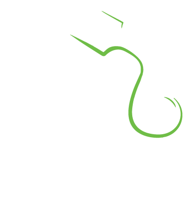 Eco Lounge Bar